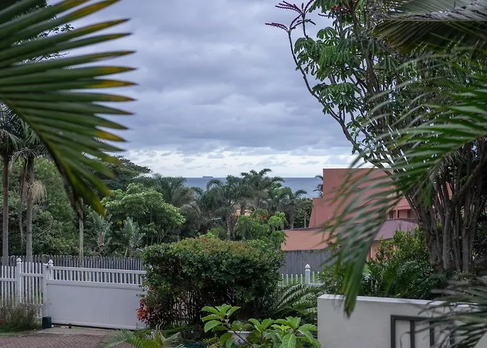 Eight Palms